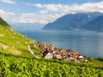 Lavaux terraced vineyards