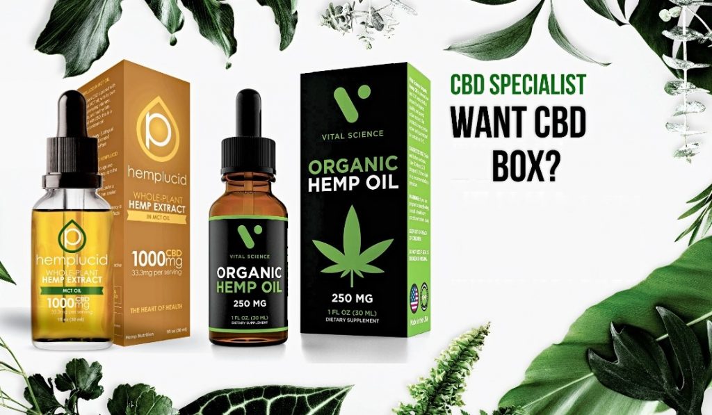 CBD Box Packaging