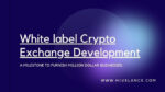 White label Crypto Exchange Development (1)