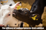 The efficacy of sodium butyrate feed additive