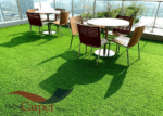 Grass carpets