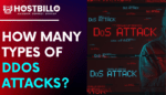 How Many Types of DDOS Attacks?