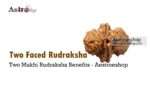 Two Faced Rudraksha