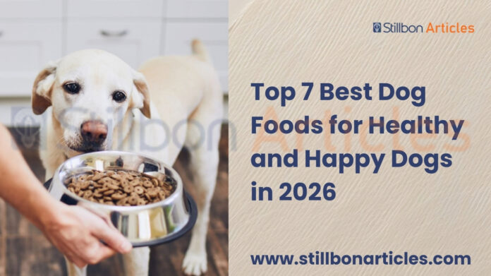 Best Dog Foods