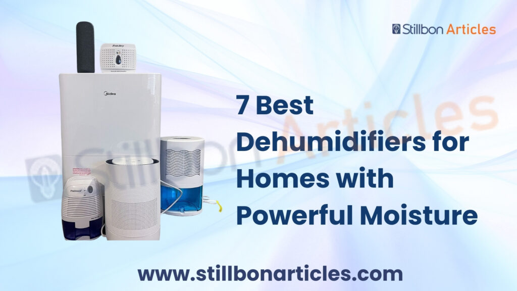 7 Best Dehumidifiers