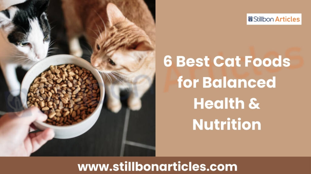 6 Best Cat Foods for Balanced Health