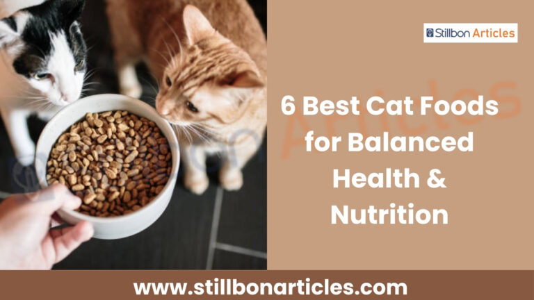 6 Best Cat Foods for Balanced Health