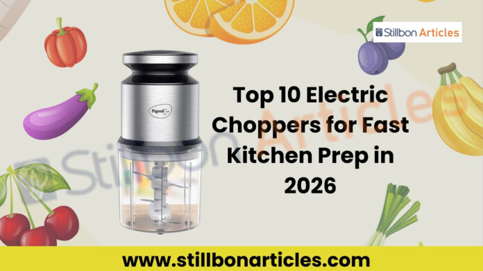 Top 10 Electric Choppers