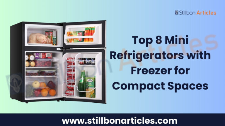 Top 8 Mini Refrigerators with Freezer