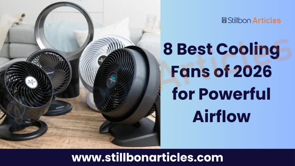 8 Best Cooling Fans